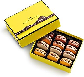 La Maison Du Chocolat Premium Macaron Gift Box - 12pcs Gourmet French Dark Chocolate Filling with Shells in Assorted Flavors