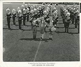 View Poster