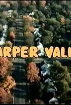 Harper Valley P.T.A.