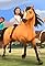 Lucky and the Appaloosa Adventure's primary photo