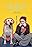 My Dog Wish