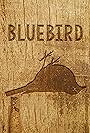 Bluebird (2017)