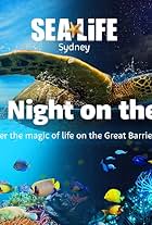 Day and Night on the Reef (2018)