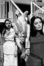 Au retour des oies blanches (1971)