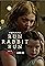 Run Rabbit Run's primary photo