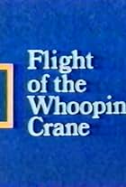 Flight of the Whooping Crane (1984)