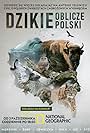 National Geographic: Dzikie oblicze Polski (2021)