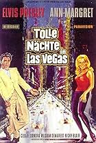 Tolle Nächte in Las Vegas