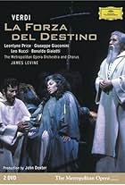 La Forza del Destino (2024)