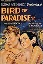 Dolores Del Río and Joel McCrea in Bird of Paradise (1932)