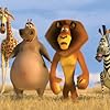 Jada Pinkett Smith, Chris Rock, David Schwimmer, and Ben Stiller in Madagascar: Escape 2 Africa (2008)