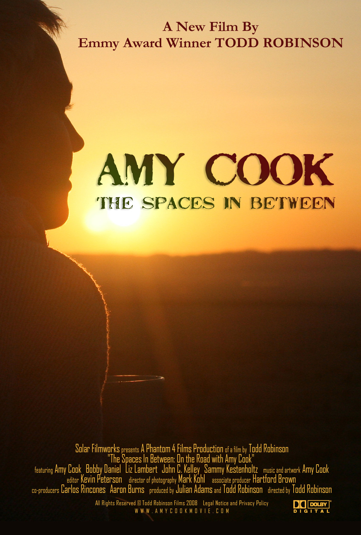 "Amy Cook: The Spaces in Between"