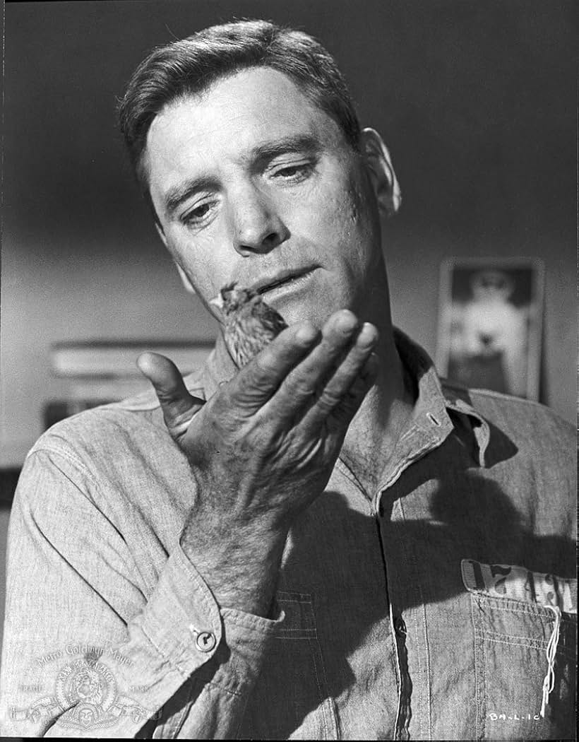 Burt Lancaster in Birdman of Alcatraz (1962)