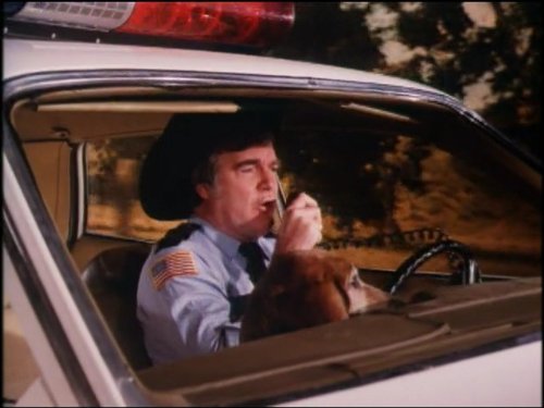 James Best in The Dukes of Hazzard (1979)