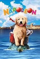 Napoleon, as Aventuras de um Cãozinho Valente