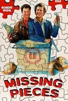 Missing Pieces