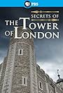 Secrets of Britain (2013)