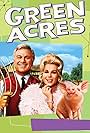 Eddie Albert, Eva Gabor, and Arnold the Piggy in O Fazendeiro do Asfalto (1965)