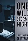 One Wild Stormy Night (2022)