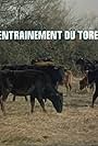 L'entraînement du toréro (1968)