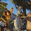 Jada Pinkett Smith, Chris Rock, David Schwimmer, and Ben Stiller in Madagascar: Escape 2 Africa (2008)