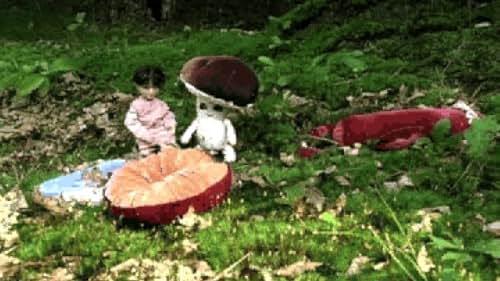 Little Herbert ends up in Mushroomland, of a size of a mushroom. He wants to be big again and go home, but it's not easy. While living in Mushroomland he makes friends, and when their country is threaten a giant Slug he stands up for the forest.