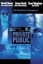 The Private Public (2001)