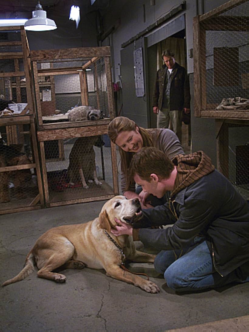 Noel Fisher, Bruce Greenwood, and Carrie Ruscheinsky in A Dog Named Christmas (2009)