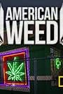 American Weed (2012)