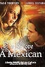 To Love a Mexican (2008)