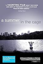 A Summer in the Cage