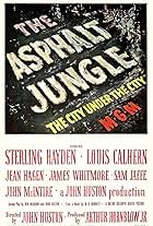 The Asphalt Jungle