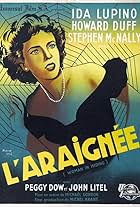 L'araignée