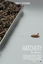 Hatchery (2023)