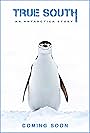 True South: An Antarctica Story
