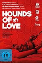 Hounds of Love