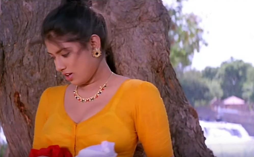 Sanghavi in Nattamai (1994)