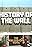 History of the Wall