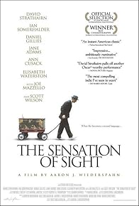 Primary photo for The Sensation of Sight