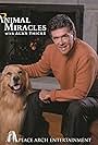 Miracle Pets (2001)