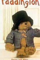 Paddington Bear