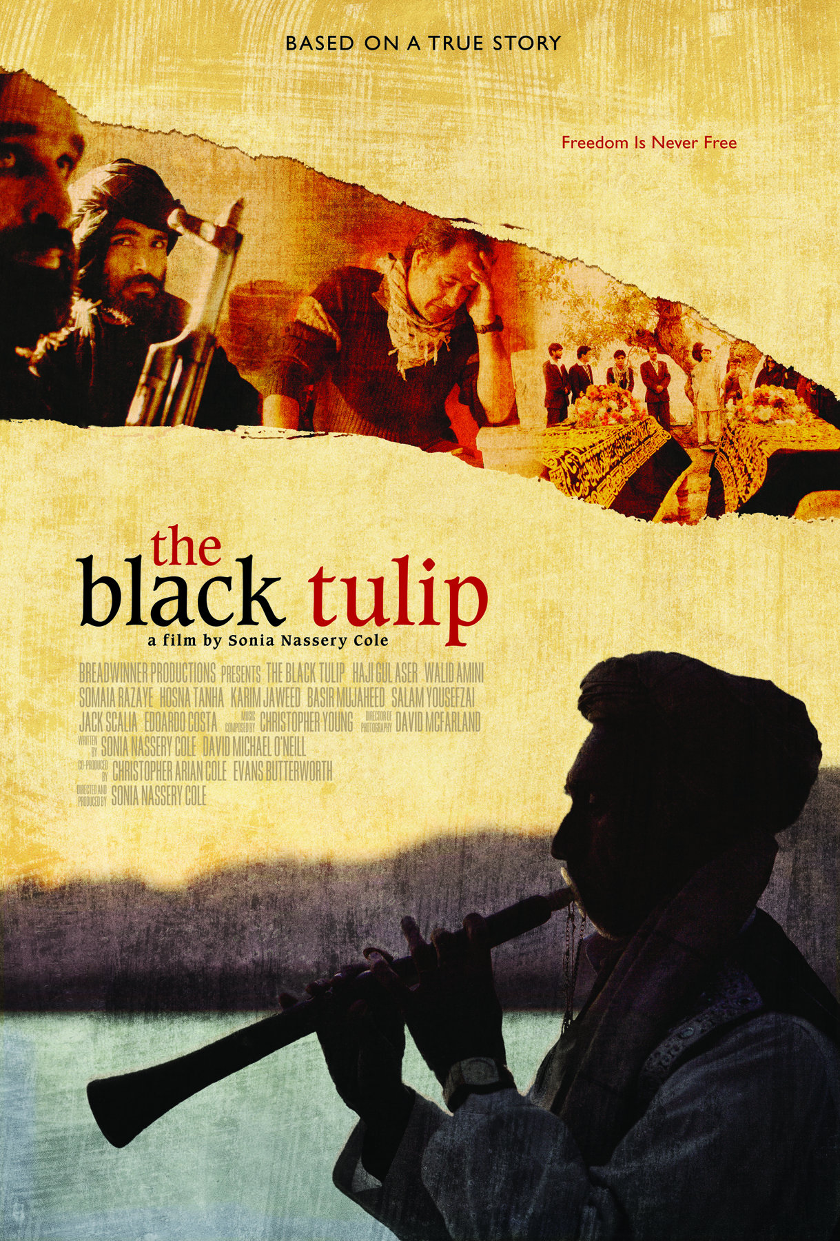 The Black Tulip (2010)