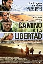 Camino a la libertad