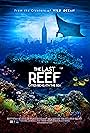 The Last Reef (2012)