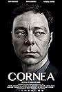 Cornea poster