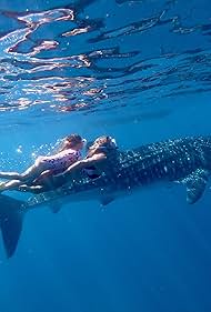 Whale Shark Jack