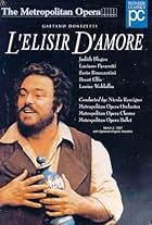 L'Elisir d'Amore (2013)