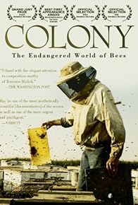 Primary photo for Colony