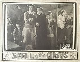 View Poster