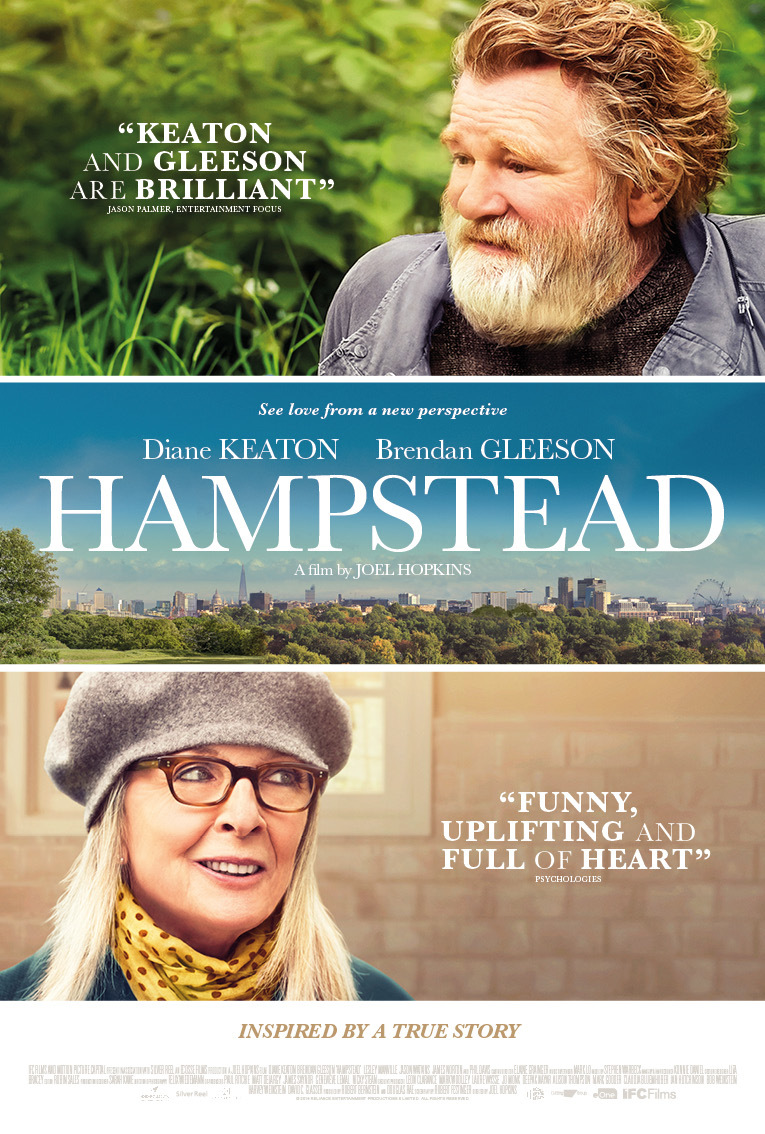 Diane Keaton and Brendan Gleeson in Hampstead (2017)